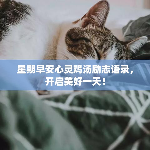 星期早安心靈雞湯勵(lì)志語(yǔ)錄，開(kāi)啟美好一天！