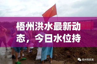 梧州洪水最新動態(tài)，今日水位持續(xù)上漲