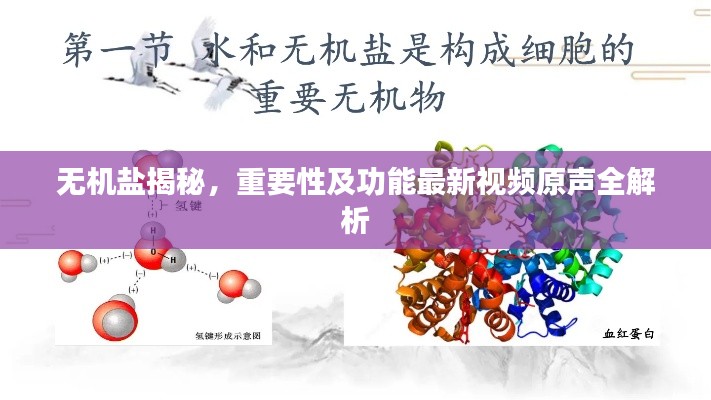 無機鹽揭秘，重要性及功能最新視頻原聲全解析