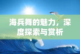 海兵舞的魅力，深度探索與賞析