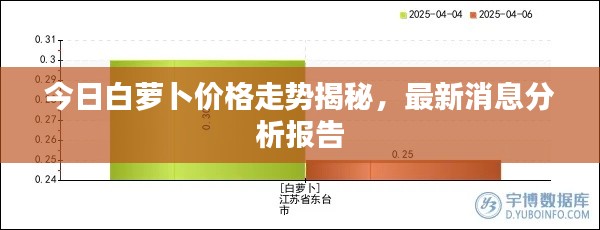今日白蘿卜價格走勢揭秘，最新消息分析報告
