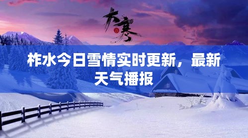 貴陰賤璧