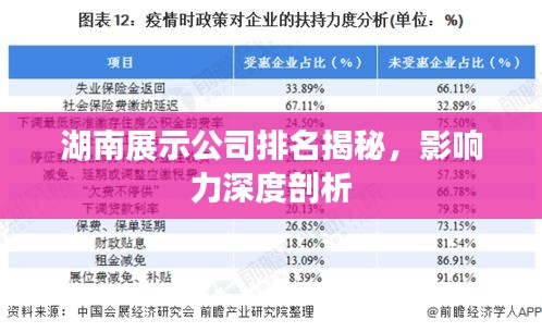 湖南展示公司排名揭秘，影響力深度剖析
