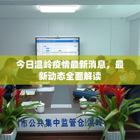 今日溫嶺疫情最新消息，最新動態(tài)全面解讀