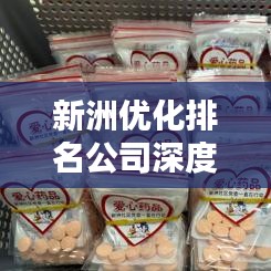新洲優(yōu)化排名公司深度比較與評估報告