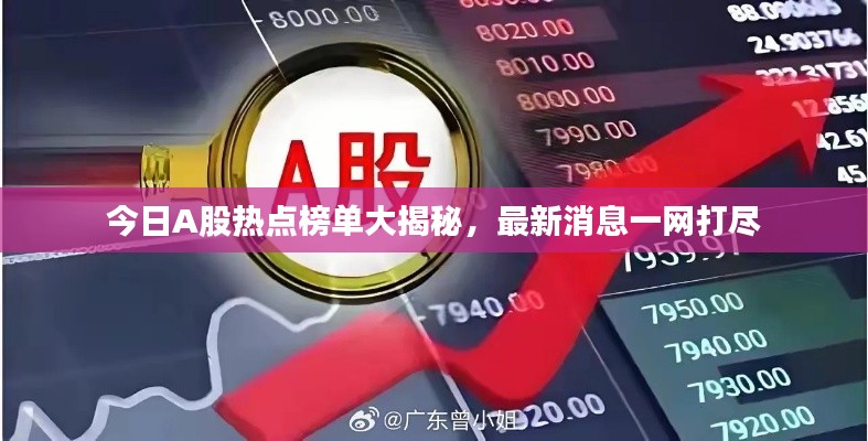 不飛則已