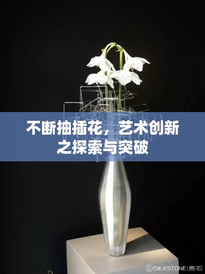 不斷抽插花，藝術(shù)創(chuàng)新之探索與突破