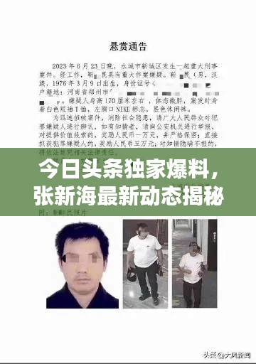 今日頭條獨家爆料，張新海最新動態(tài)揭秘！