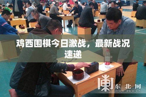 雞西圍棋今日激戰(zhàn)，最新戰(zhàn)況速遞