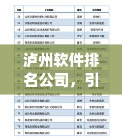 瀘州軟件排名公司，引領(lǐng)行業(yè)發(fā)展的技術(shù)力量標(biāo)桿