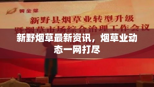 新野煙草最新資訊，煙草業(yè)動(dòng)態(tài)一網(wǎng)打盡