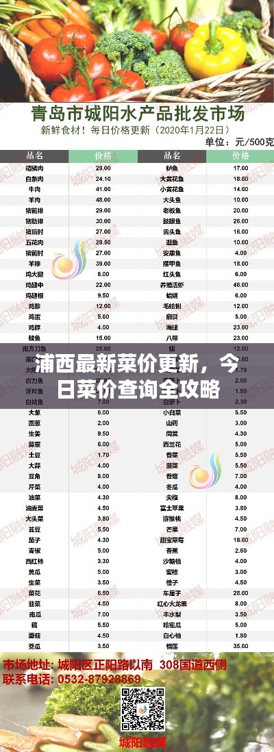 浦西最新菜價(jià)更新，今日菜價(jià)查詢?nèi)ヂ? class=