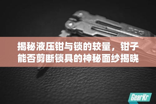 揭秘液壓鉗與鎖的較量，鉗子能否剪斷鎖具的神秘面紗揭曉！