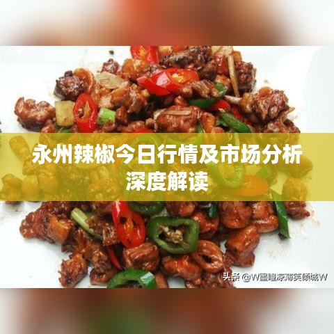 永州辣椒今日行情及市場分析深度解讀