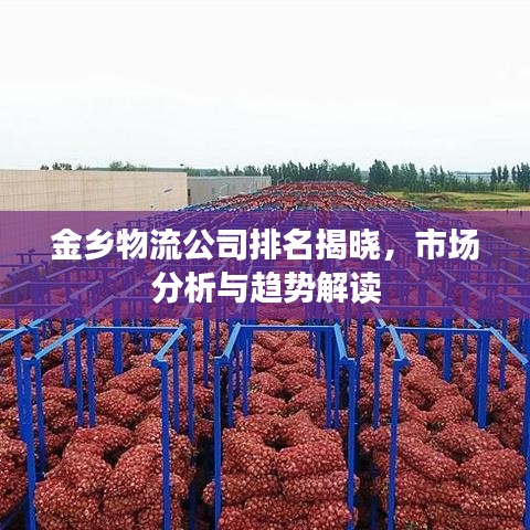 金鄉(xiāng)物流公司排名揭曉，市場分析與趨勢解讀